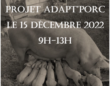 Affiche Colloque Projet adaPt’Porc