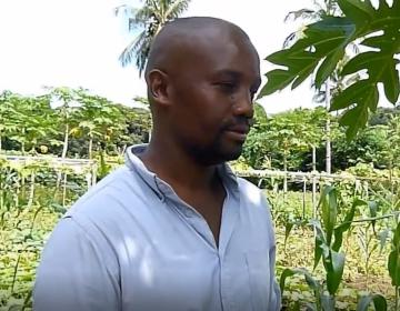 Vidéo: Lutte mouche des cucurbitacées avec filet- Interview d'Assane Ben Ali- projet INNOVEG_Mayotte_2017
