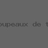 Gestion technique des troupeaux de truies (GTTT) - Synthèse