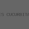 LES PARASITOÏDES OOPHAGES DES PYRALES DES CUCURBITACEAE Diaphania spp. PRÉSENTS EN GUYANE 
