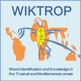WIKTROP : identification et connaissances des adventices tropicales et méditerranéennes