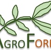 photo de Formation - Agroforesterie