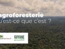 GUYAGROFORESTERIE 2 : Les vidéos sur l'agroforesterie accessibles depuis COATIS !