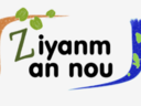 Présentation de l'outil d'aide au choix de variétés d'igname en Guadeloupe : Ziyanm An Nou