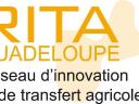 RitaGwa n°8 - Newsletter du RITA Guadeloupe