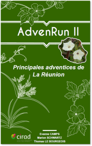 advenrunii_advenrun-2.png