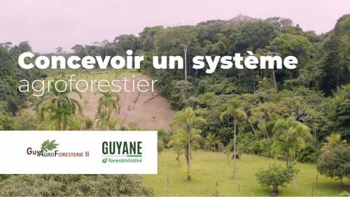 guyagroforesterie2concevoirunsystemeagro_concevoir-un-systeme-agroforestier2.jpg