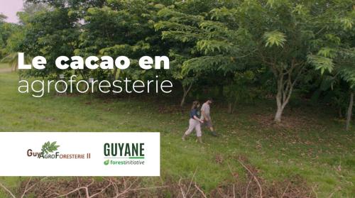 guyagroforesterie2lecacaoenagroforesteri_cacao-et-agroforesterie.jpg