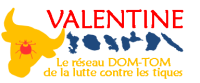 lancementvalentine_logo-valentine.png