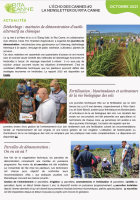 lechodescannes2lanewsletterduritaca_newsletter-2-1-sur-2.png