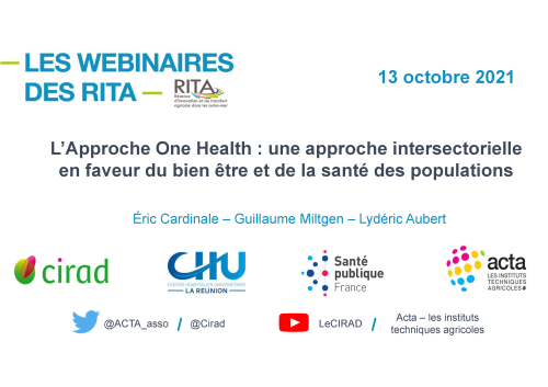 webinaireritan4approcheonehealthvide_1ere-page_page_01.png