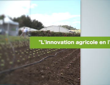 L'innovation agricole en l'air - Terres d'ici à l'occasion des Agrofert'îles Pro novembre 2022